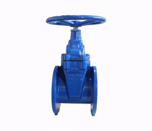 DN 50 F4 TİP ELASTOMER SÜRGÜLÜ VANA PN 10-16